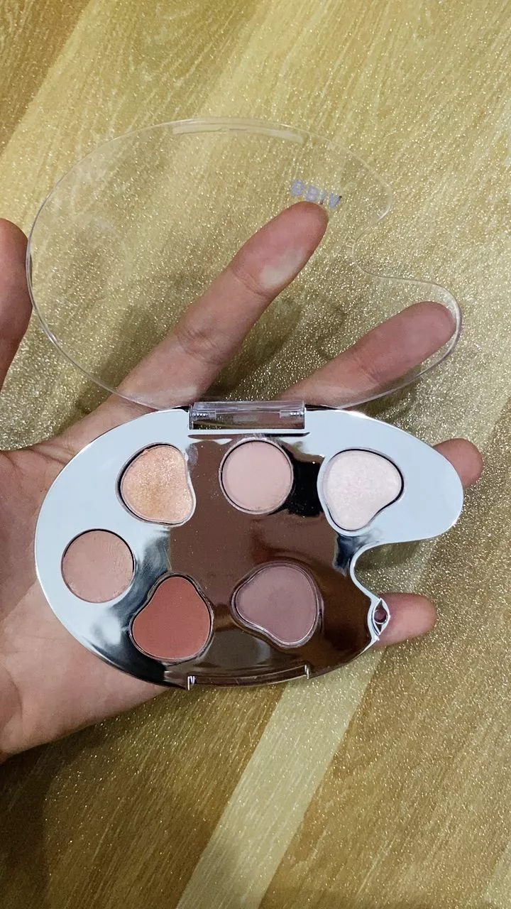 BBIA Last Eye Palette photo review