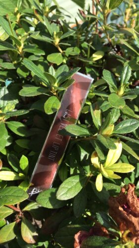 Bbia Last Velvet Lip Tint – Version 5 photo review