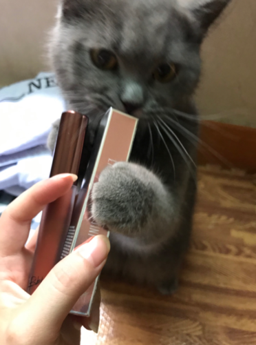 Bbia Last Velvet Lip Tint – Version 5 photo review