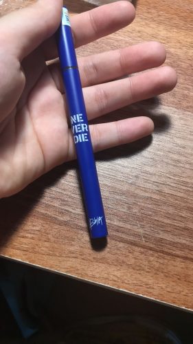 BBIA Never Die Brush Eyeliner photo review